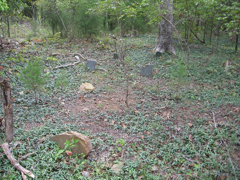 Little-Love Cemetery, photograph by Patricia Poland