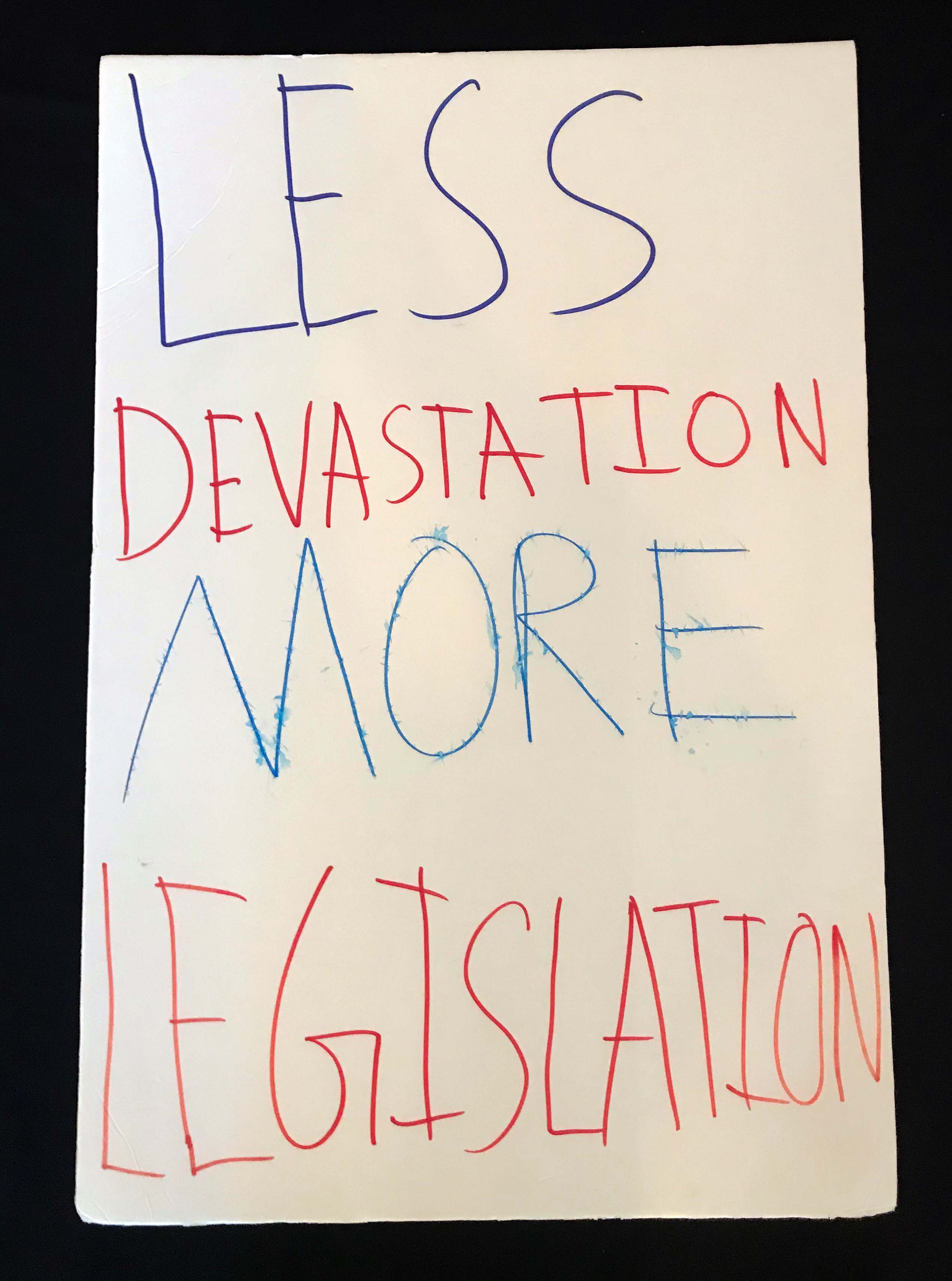 Charlotte March for Our Lives, 2018. Sign reads: "Less devastation, more legislation"