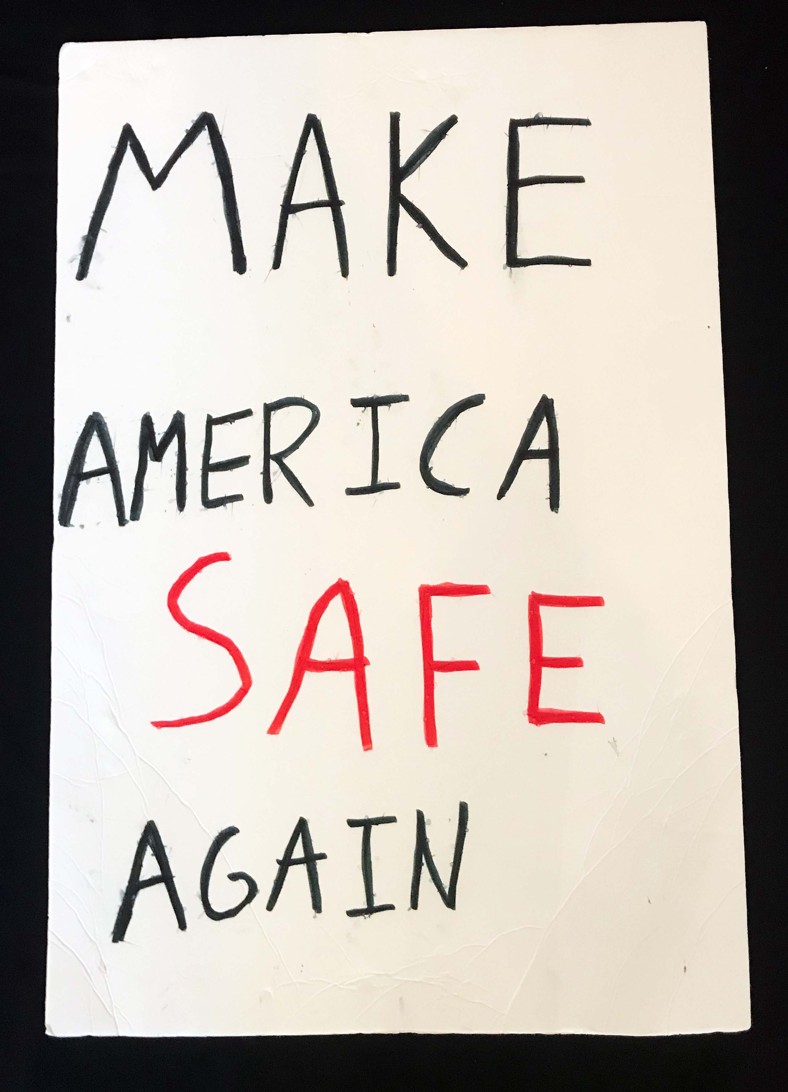 Charlotte March for Our Lives, 2018. Sign reads: "Make America safe again."
