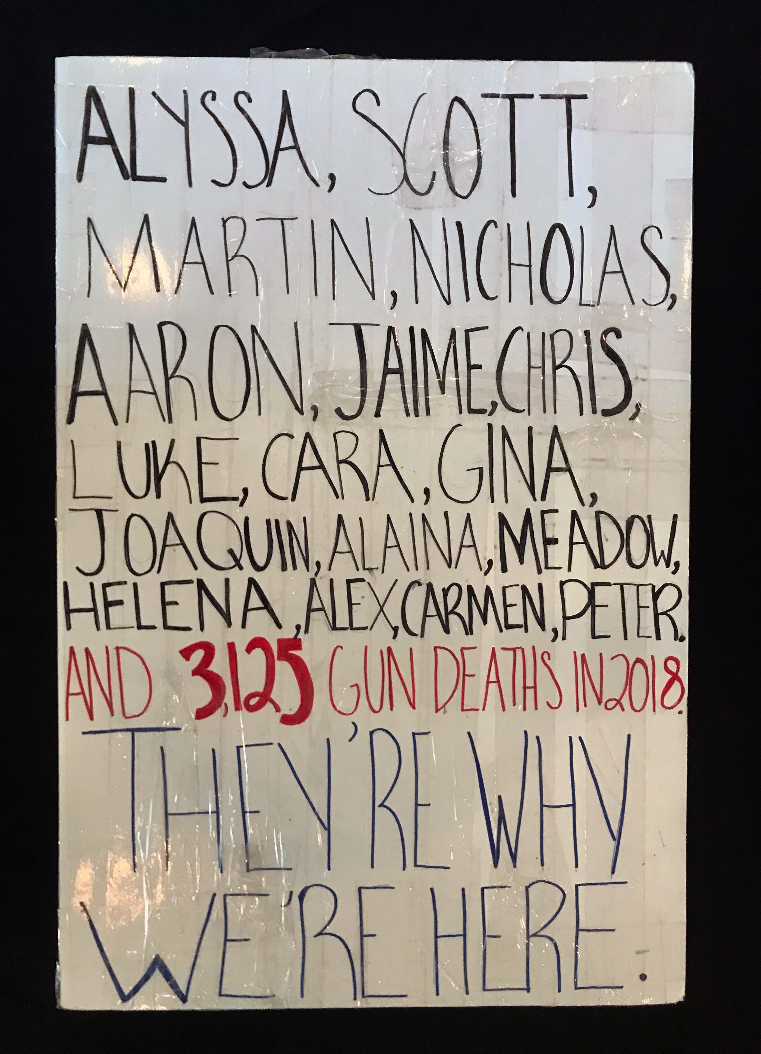 Charlotte March for Our Lives, 2018. Sign reads: "Alyssa, Scott, Martin, Nicholas, Aaron, Jaime, Chris, Luke, Cara, Gina, Joaquin, Alaina, Meadow, Helena, Alex, Carmen, Peter and 3,125 gun deaths in 2018. They're why we're here."