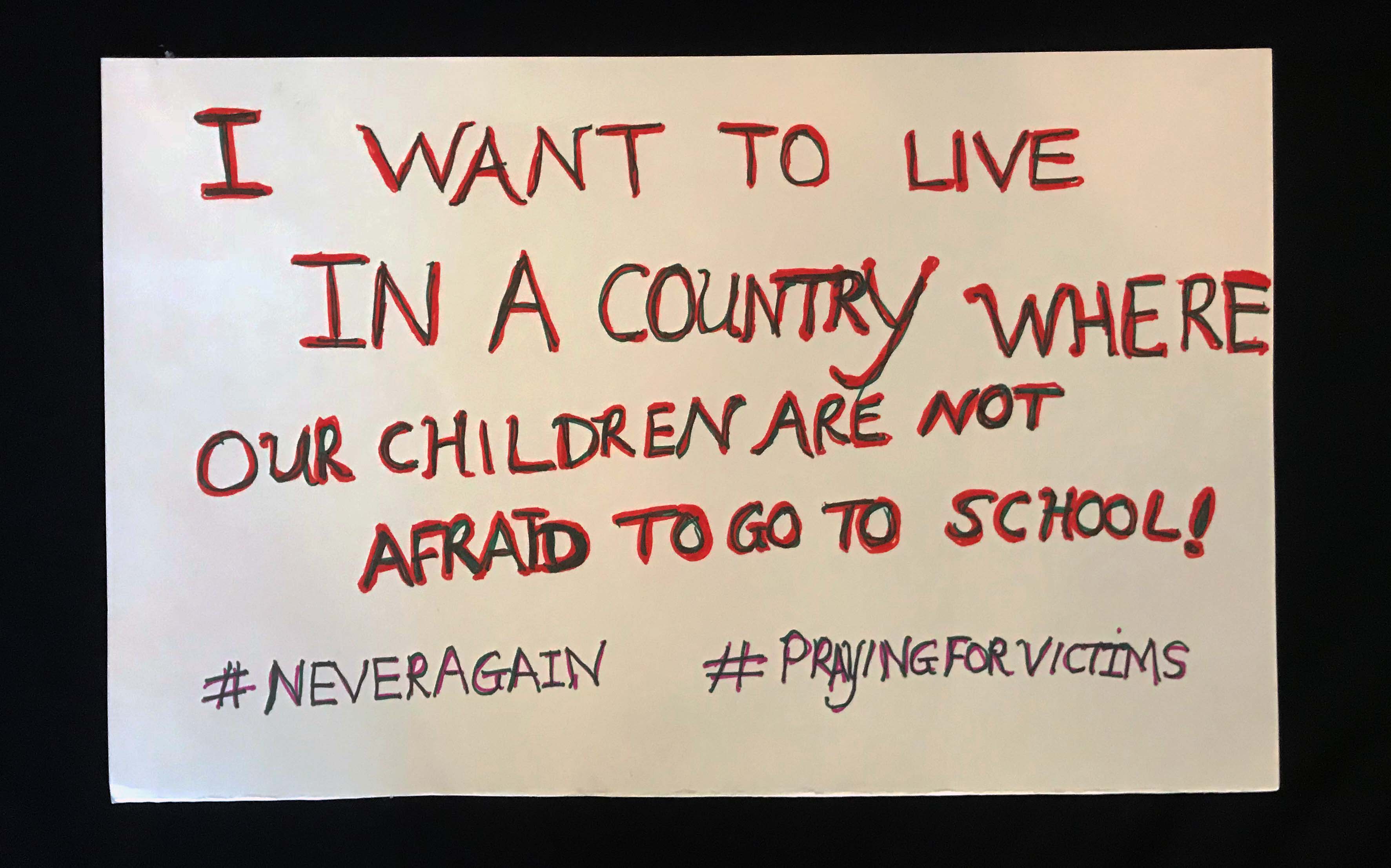Charlotte March for Our Lives, 2018. Sign reads: "I want to live in a country where our children are not afraid to go to school. #neveragain #prayingforvictims"