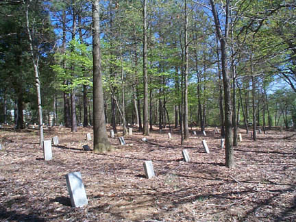 County Home Cemetery