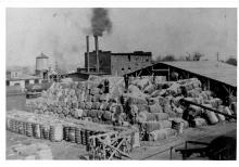 Southern Cotton Oil Company | Charlotte Mecklenburg Story