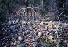 Little-Love cemetery, photograph by Patricia Poland