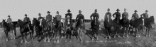 Mounted Scouts, 8th Massachusetts Infantry
