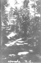 Woods