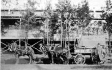 Mule Drawn Ambulance