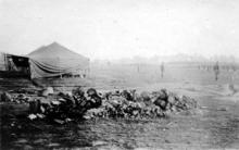 Wood Pile and Parade Ground