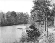 Lake at Latta Park