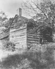 The McIntyre Cabin