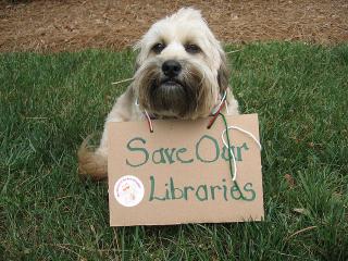 In 2010, Charlotte and Mecklenburg County rallied around the Library.